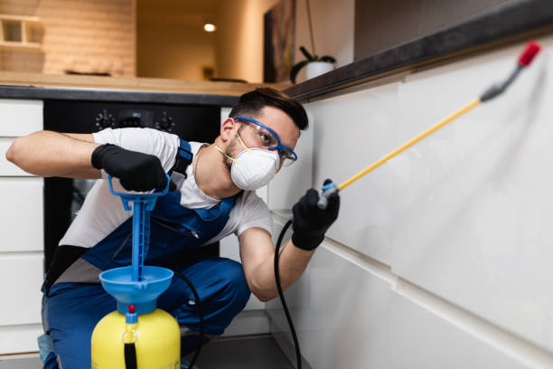 Best Mosquito Control Services  in Flossmoor, IL