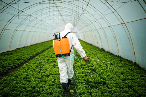Best Local Pest Control Services  in Flossmoor, IL
