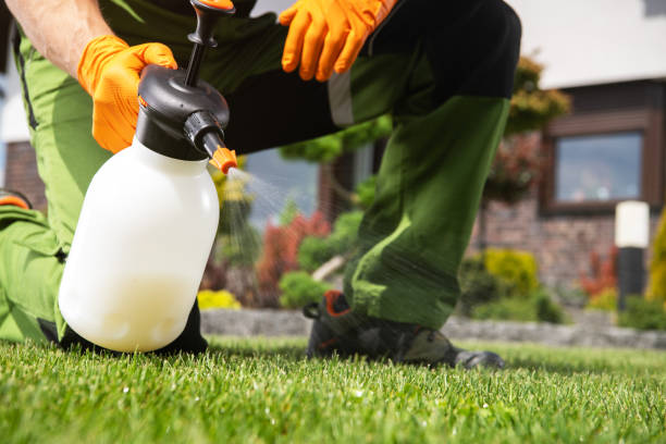 Best Pest Removal Services  in Flossmoor, IL