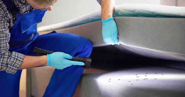 Best Pest Control Near Me in Flossmoor, IL