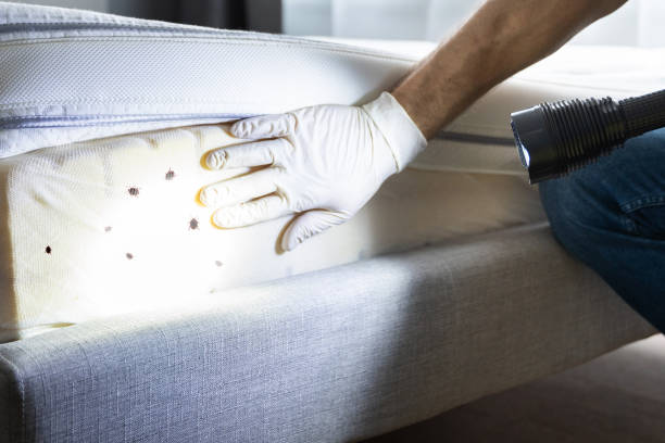 Best Best Pest Control Near Me  in Flossmoor, IL