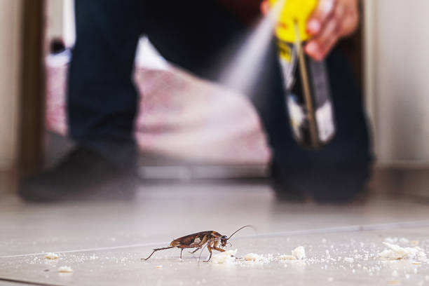 Best Bed Bug Extermination  in Flossmoor, IL