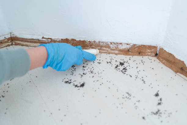 Best Pest Inspection Near Me  in Flossmoor, IL